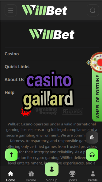Casino Gaillard - French Casino Entertainment-casinoorder.vip